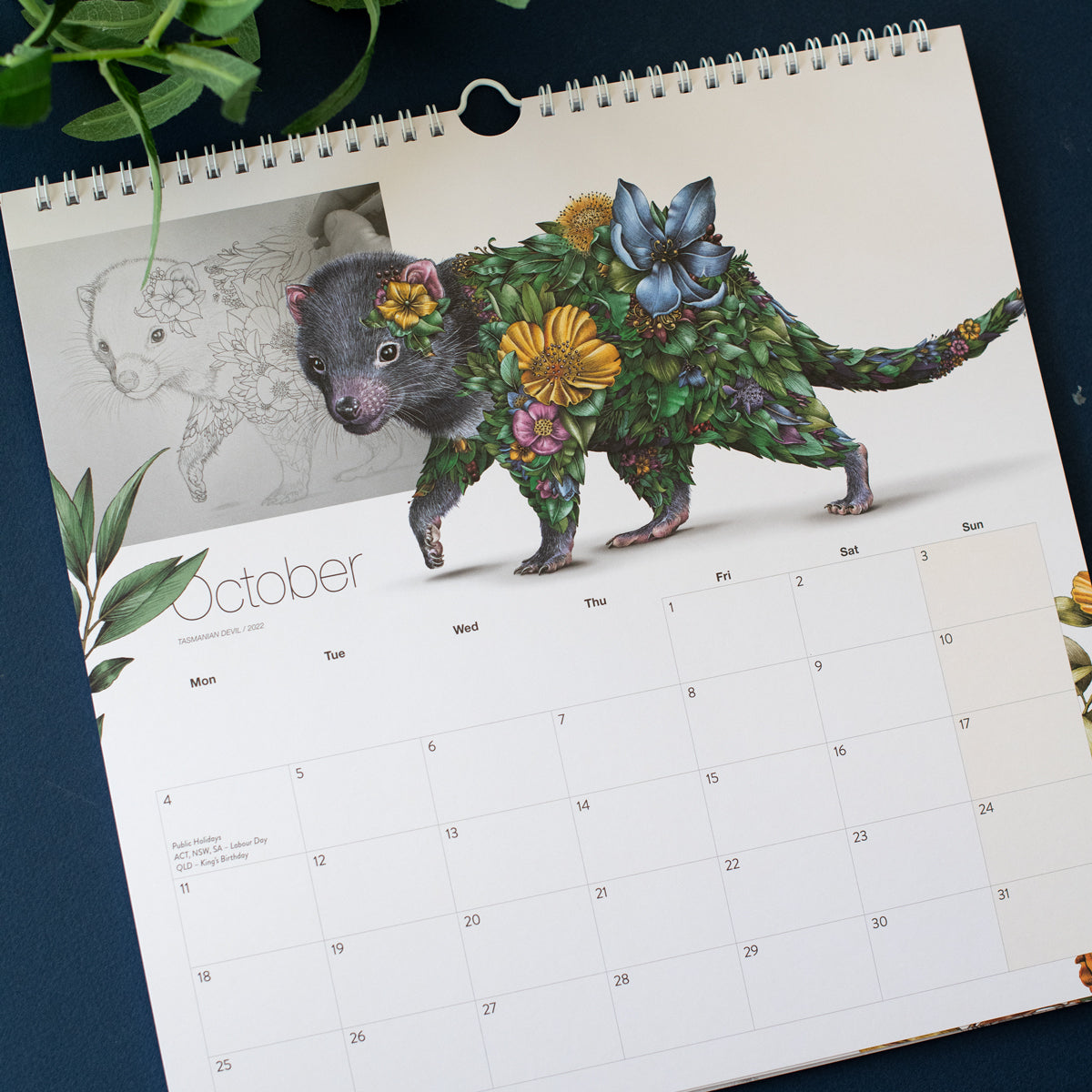 2027 Calendar – Wild Australia Special Edition
