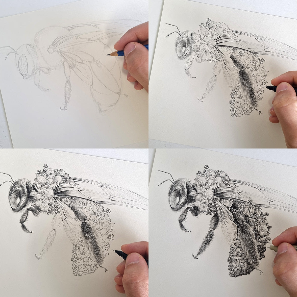 Australian Bees – Limited Edition Print