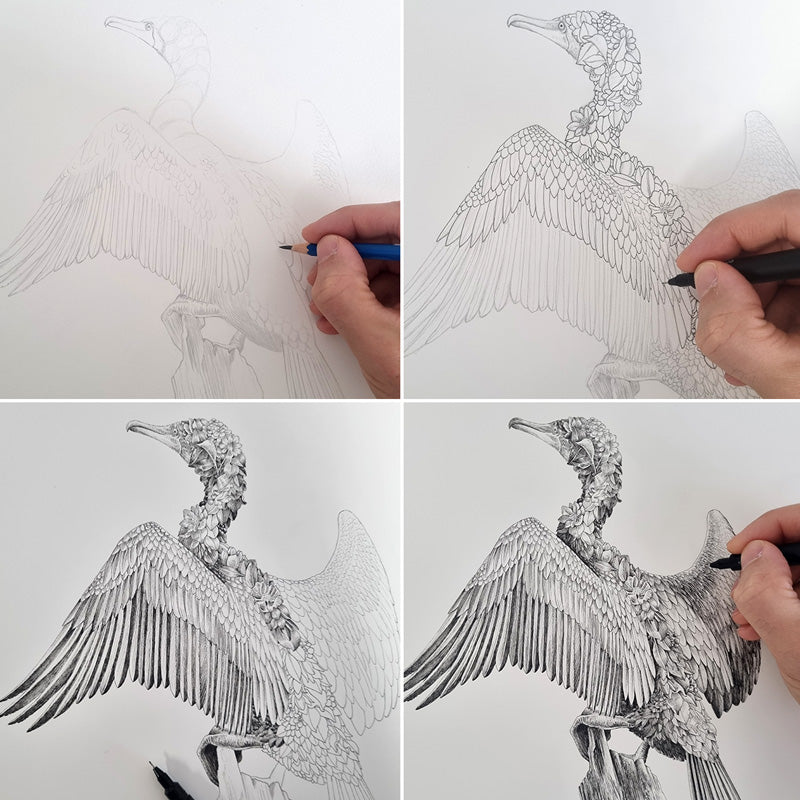Great Cormorant – Limited Edition Print