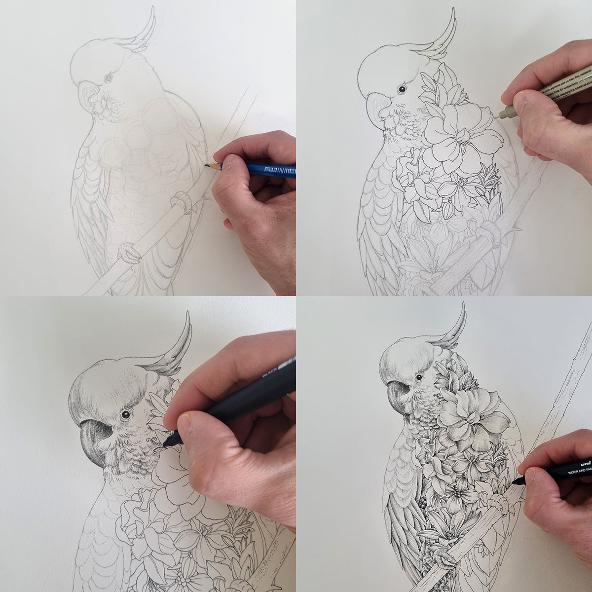 Greeting Cards – Avian (Set of 6)