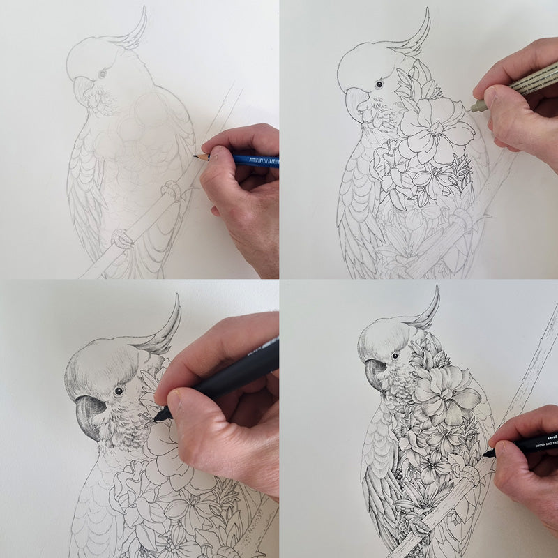 Mug 450ml – Sulphur-crested Cockatoo