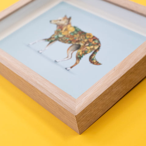 Dingo – Framed First Edition Print