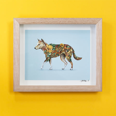 Dingo – Giclee Print