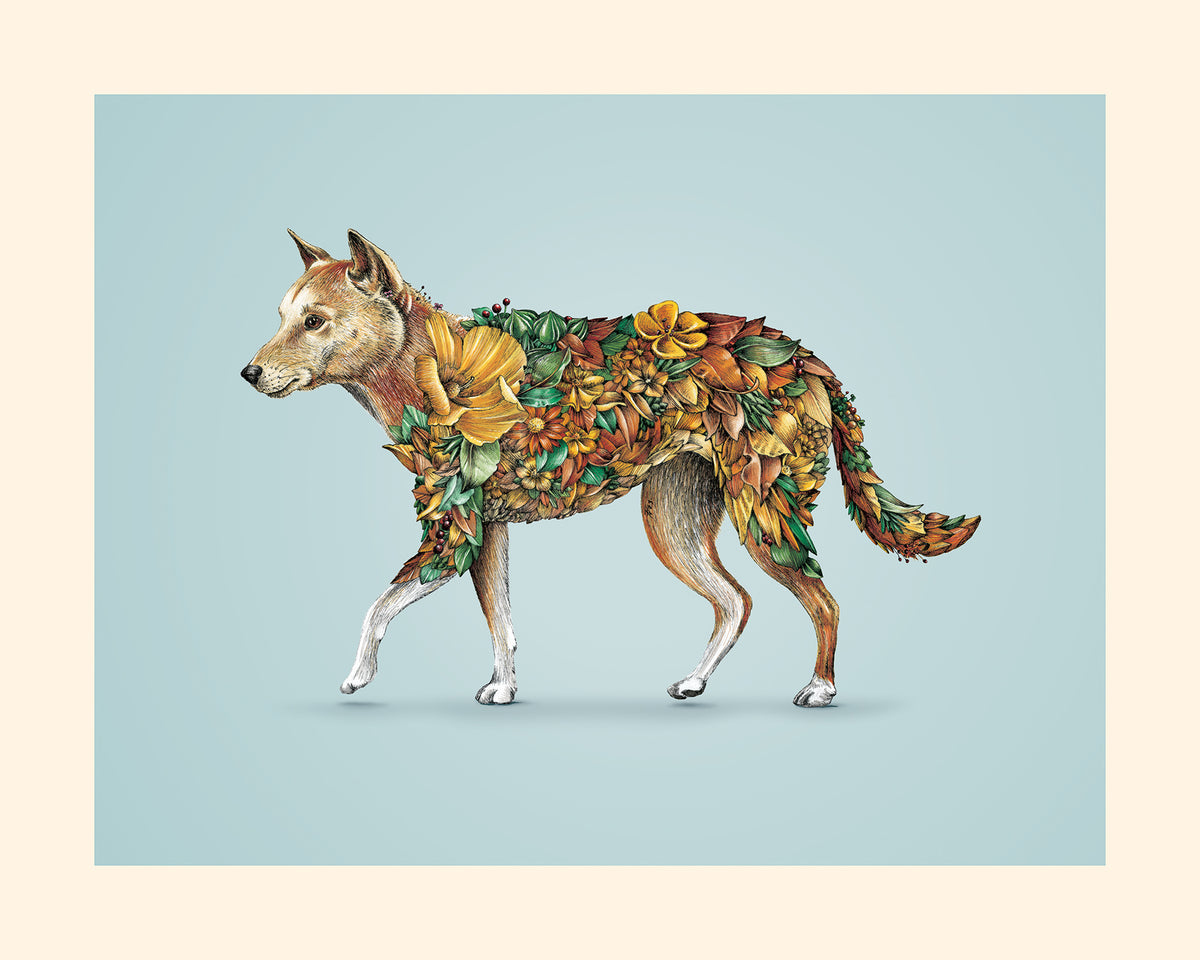 Dingo – Giclee Print