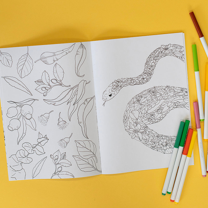 Bushwalking Colouring In Colouring Book – Australian Bushwalk – Marini Ferlazzo - Art for Wildlife