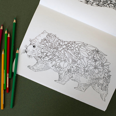 Colouring Book – Australian Bushwalk