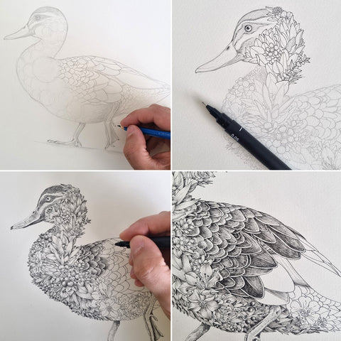 Pacific Black Duck – Limited Edition Print