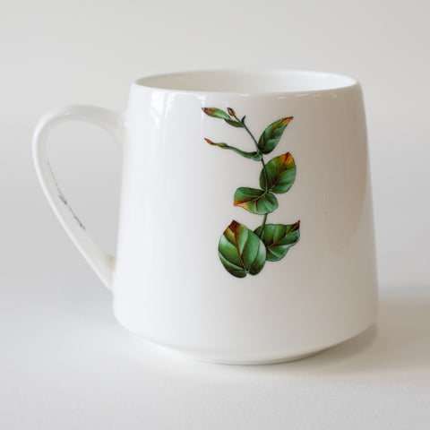Mug 450ml – Echidna Bushwalk (LESS THAN PERFECT ITEM)