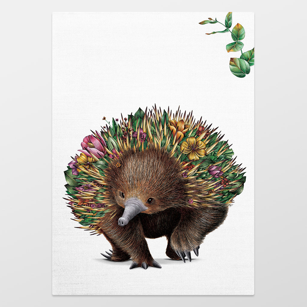 Organic Cotton Tea Towel – Echidna Bushwalk