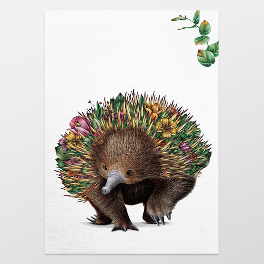 Organic Cotton Tea Towel – Echidna Bushwalk