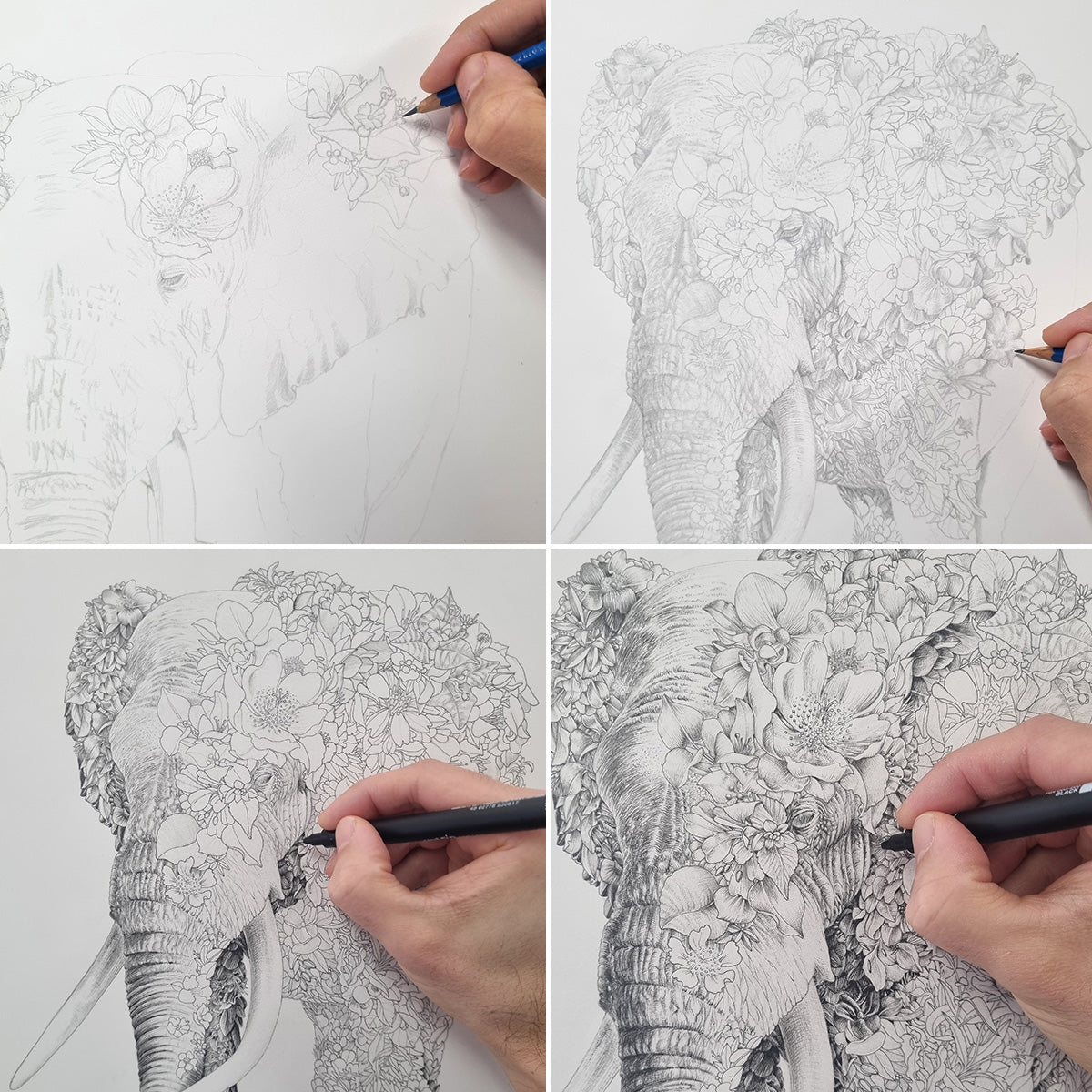 African Elephant – Limited Edition Print