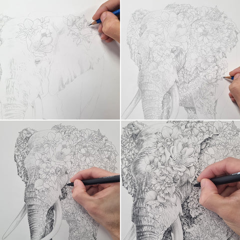 African Elephant – Limited Edition Print