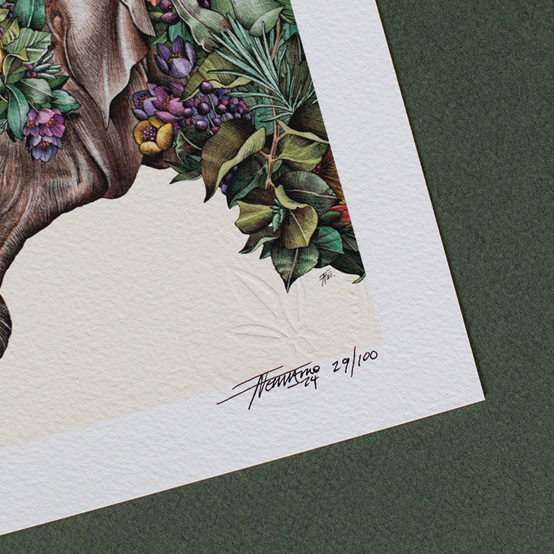 Asian Elephant Calf – Giclée Print