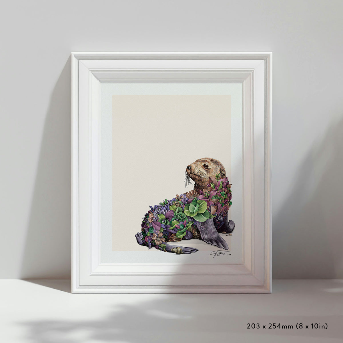 Australian Fur Seal – Limited Edition Print