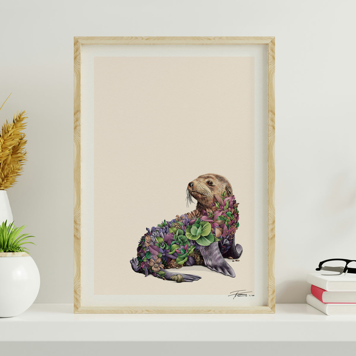 Australian Fur Seal – Limited Edition Print