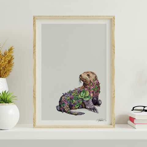 Australian Fur Seal – Limited Edition Print