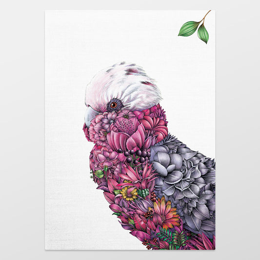 Organic Cotton Tea Towel – Galah Bushwalk