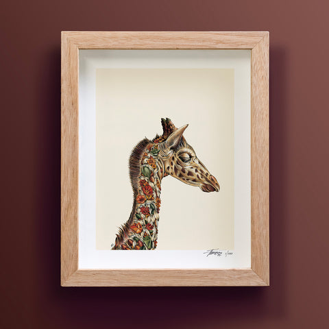 Giraffe Calf – Giclée Print