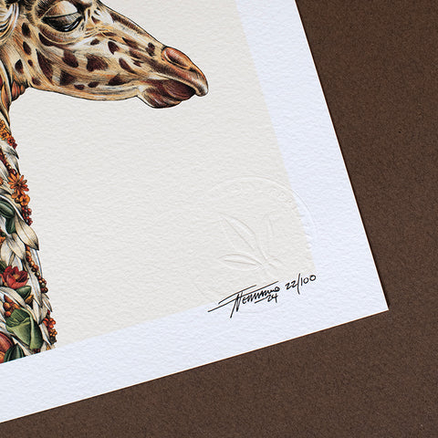 Giraffe Calf – Giclée Print
