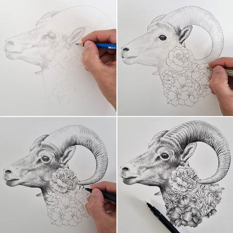 Goat Chinese Zodiac – Limited Edition Print