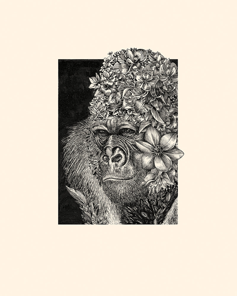 Western Lowland Gorilla – Giclee Print