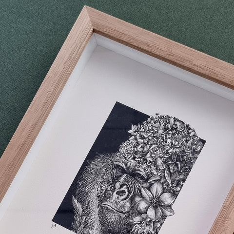 Western Lowland Gorilla – Giclee Print