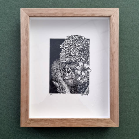 Western Lowland Gorilla – Giclee Print