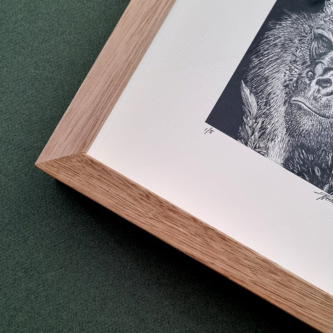 Western Lowland Gorilla – Giclee Print