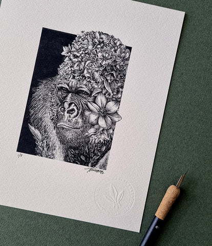 Western Lowland Gorilla – Giclee Print