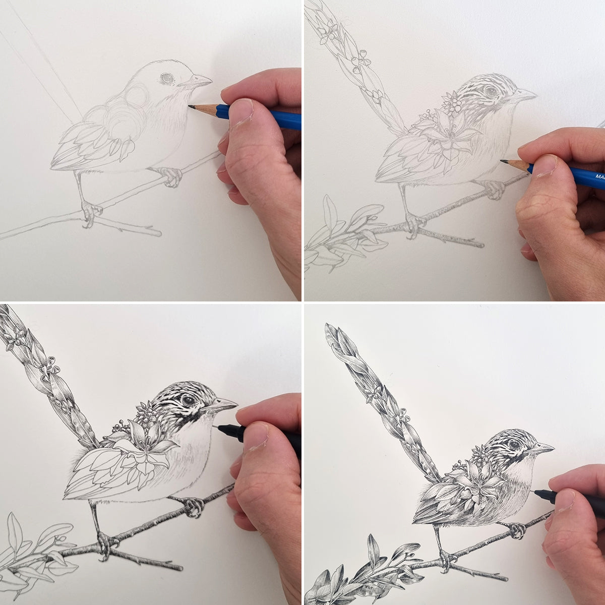 Mukarrthippi Grasswren – Limited Edition Print