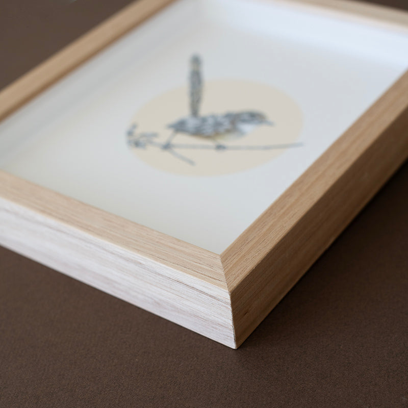 Mukarrthippi Grasswren – Limited Edition Print