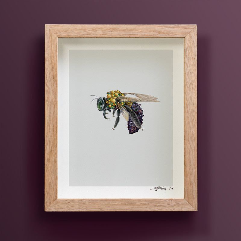 Great Carpenter Bee – Limited Edition Print