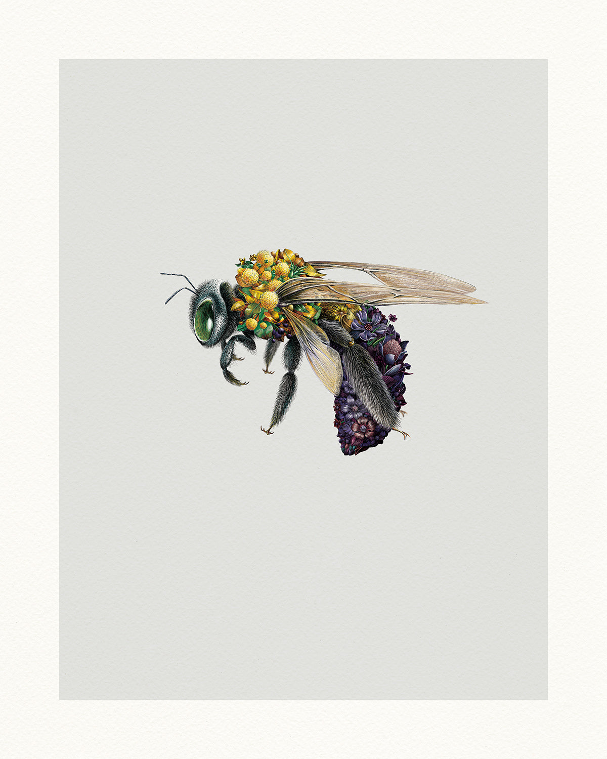 Great Carpenter Bee – Limited Edition Print