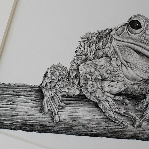 Green Tree Frog – ORIGINAL