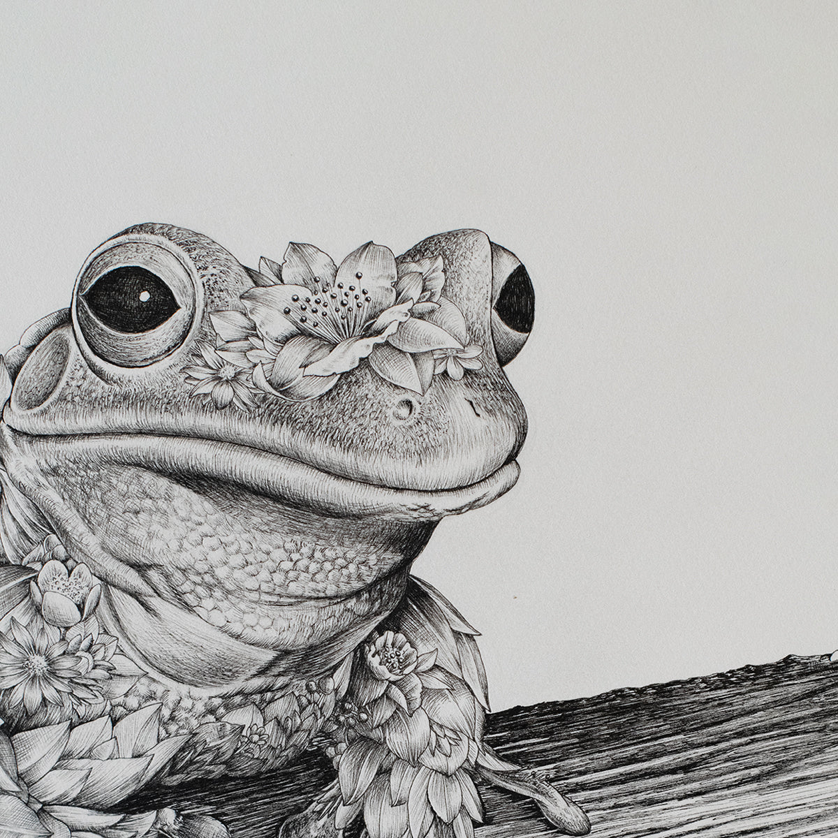 Green Tree Frog – ORIGINAL