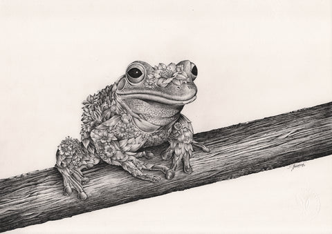 Green Tree Frog – ORIGINAL