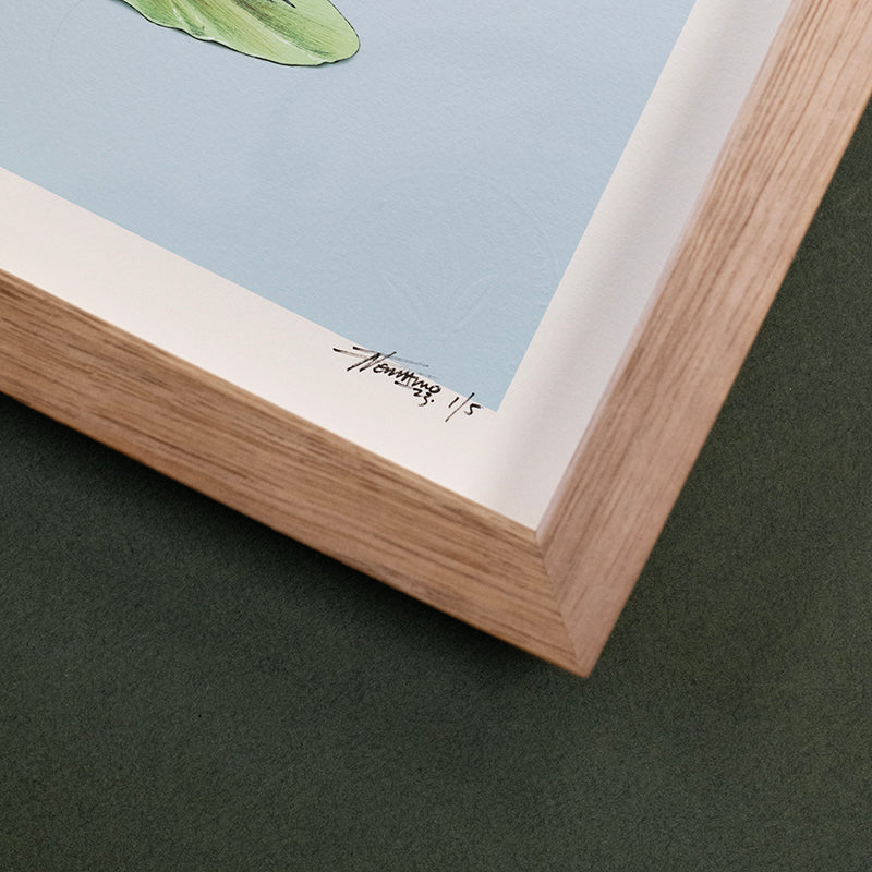 Jacana – Giclee Print