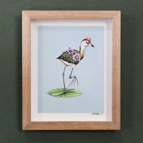 Jacana – Giclee Print