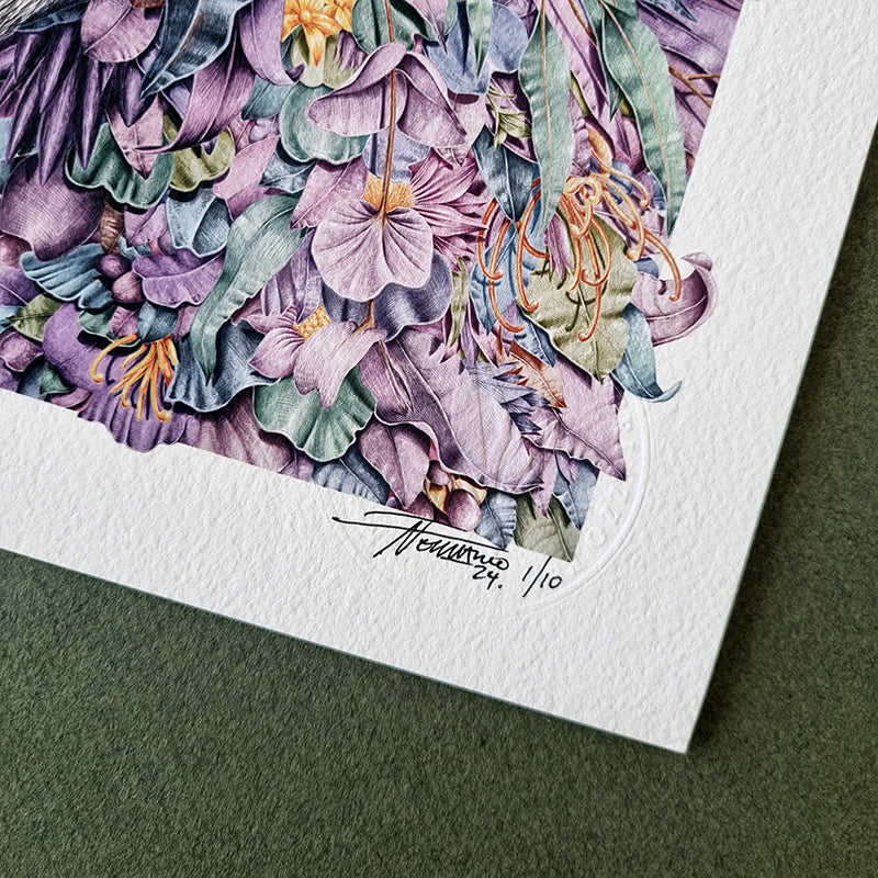 Grey Kangaroo Portrait – Limited Edition Print