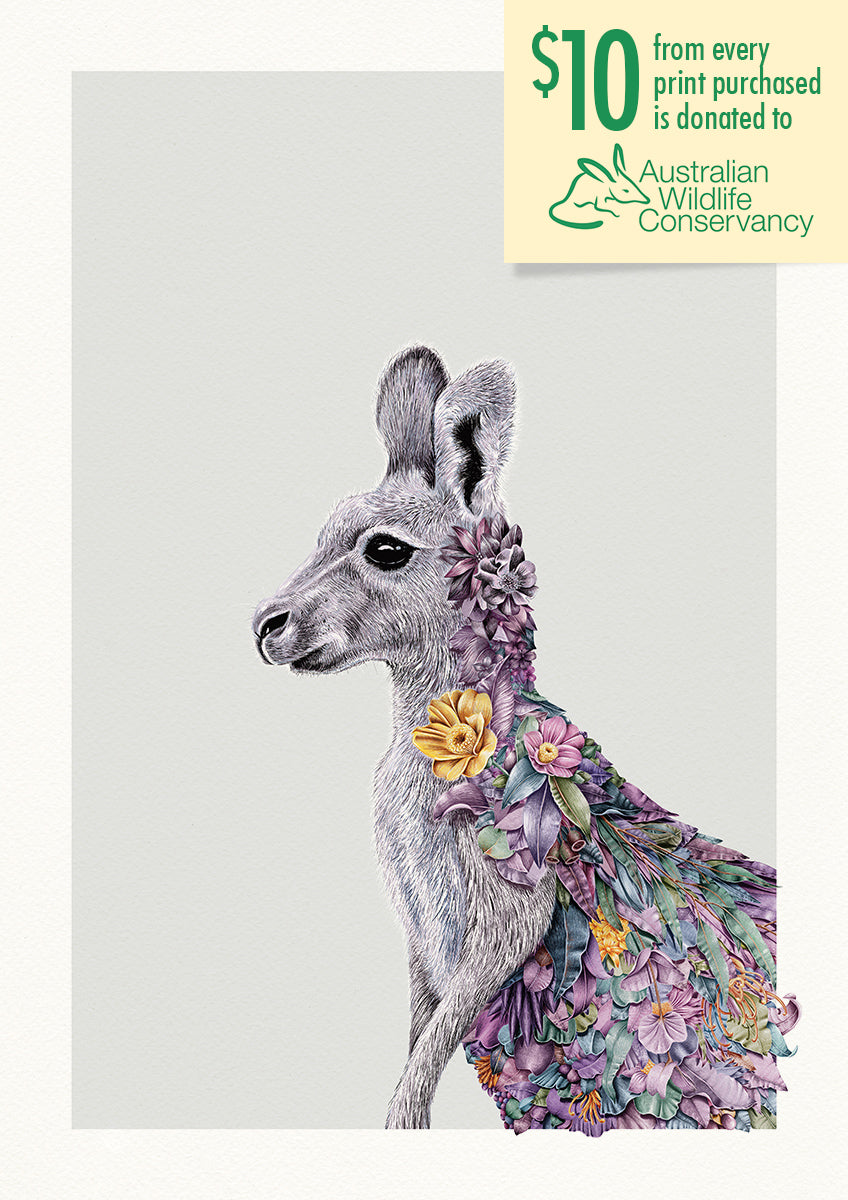 Grey Kangaroo Portrait – Limited Edition Print