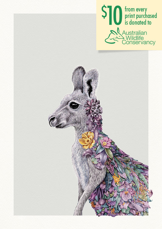 Grey Kangaroo Portrait – Limited Edition Print
