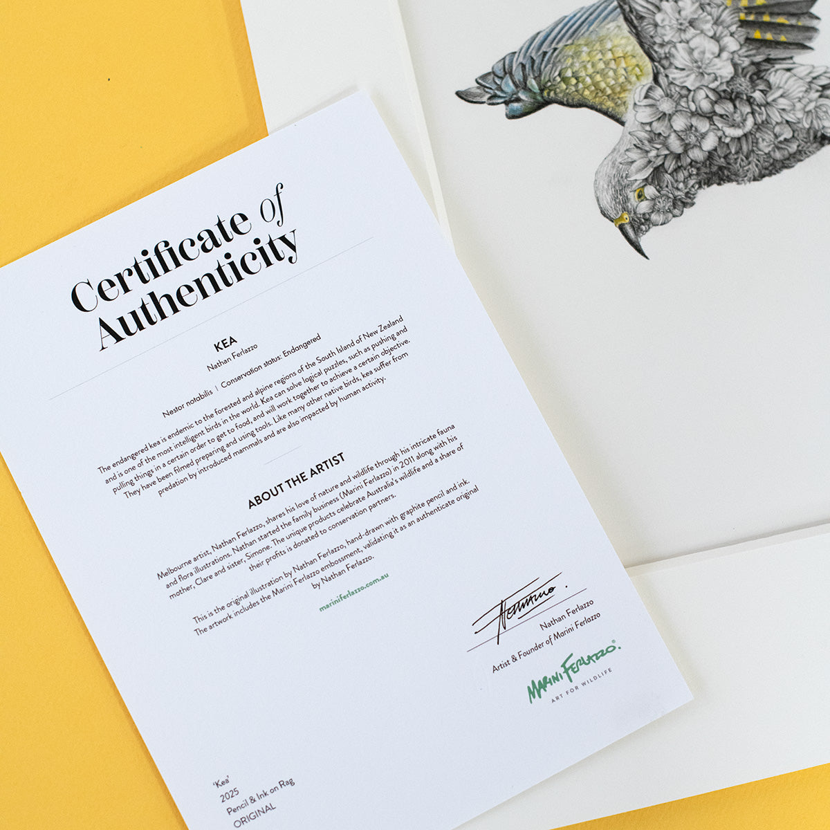 Kea – ORIGINAL