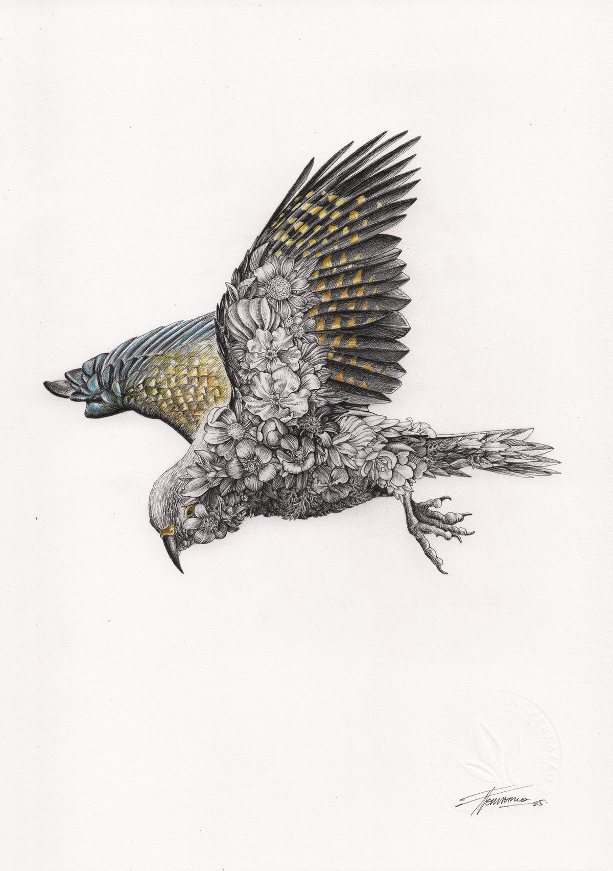 Kea – ORIGINAL