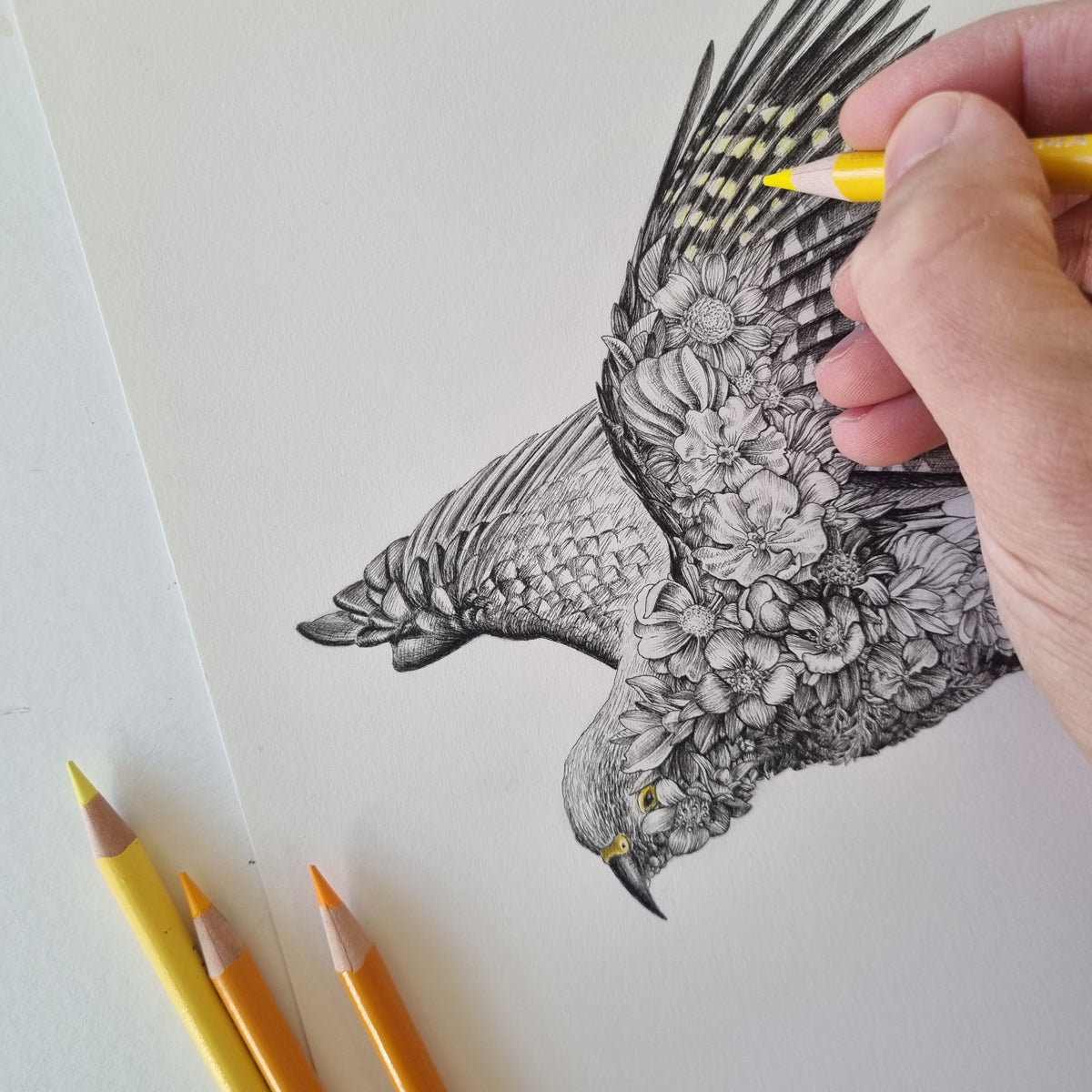 Kea – ORIGINAL