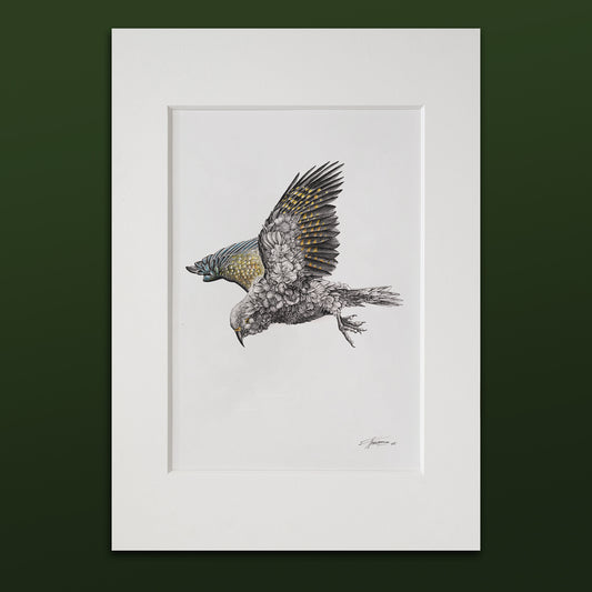 Kea – ORIGINAL