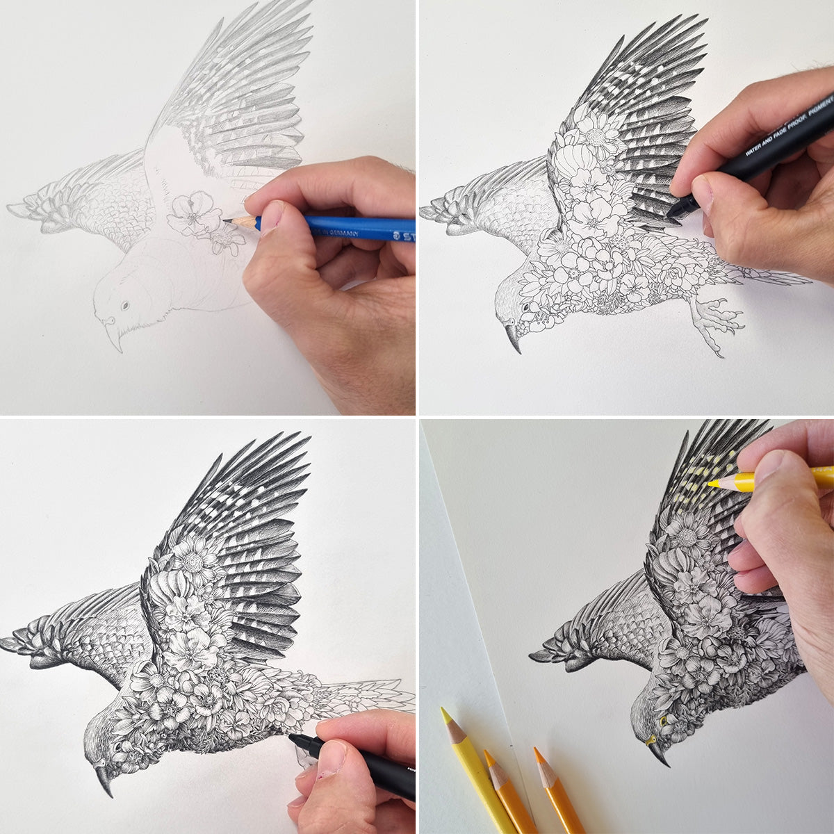 Kea – ORIGINAL
