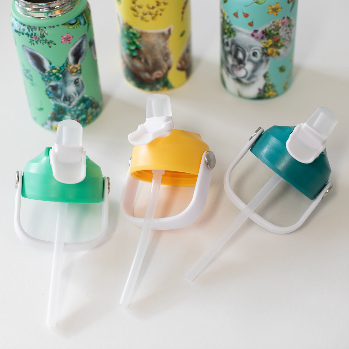 Double Wall Insulated Kids Drink Bottle 350ml – Koala Joey