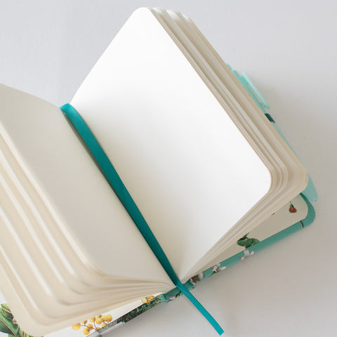 Hard Cover Pocket Notebook (A6) – Koala Joey