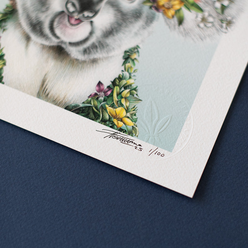 Koala Joey – Limited Edition Print