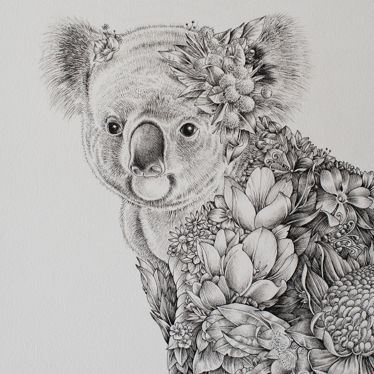 Koala Bushwalk – ORIGINAL